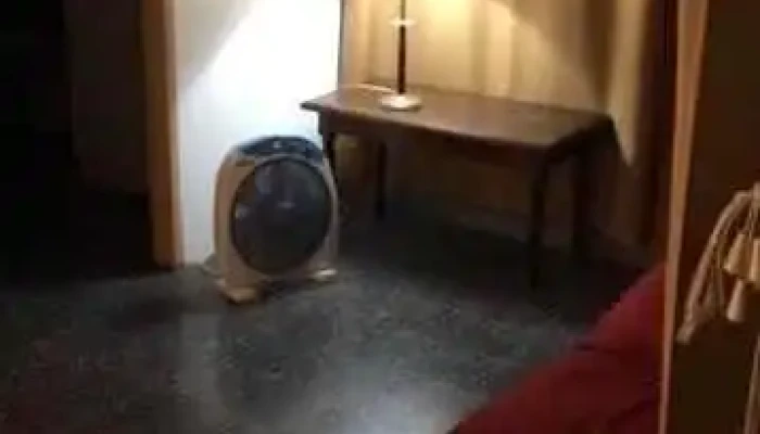 Cid Srl Radiografía y Tomografías Cone Beam Maxilofacilaes, Escaneado Intraoral 3d - Paysandú