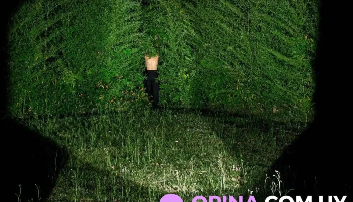 Cine - Fotografía. - 11300 Montevideo