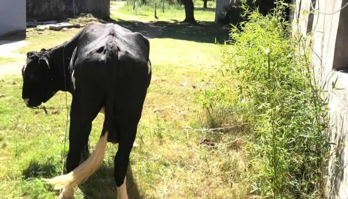 Circulo Catolico   Filial San Ramon Abierto Ahora - San Ramón