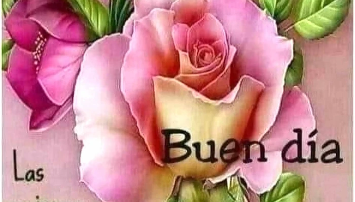 Circulo Catolico   Sucursal Colon Montevideo - Montevideo