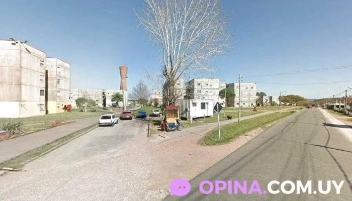 Citrus - 12500 Montevideo