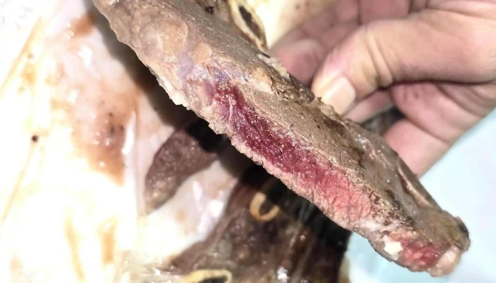 Ciudad Bar -  Comentario 3 - Montevideo