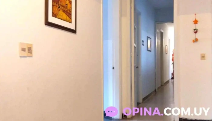 Clade -  Videos - Montevideo