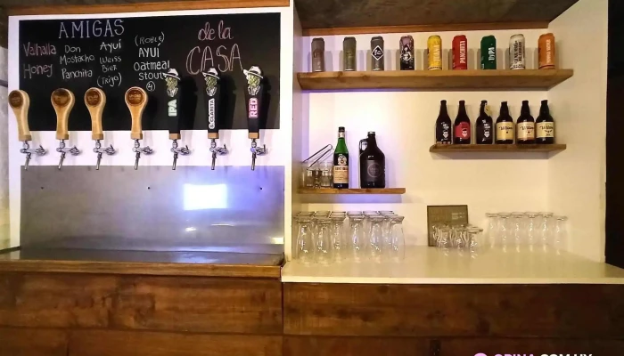 Clandestina Cerveza Artesanal -  Todo - Salto