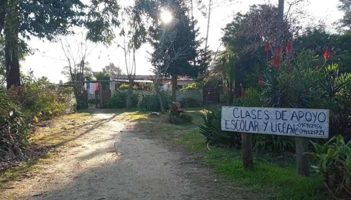Clases De Apoyo Escolar Y Liceal Personalizadas -  Del Propietario - Montevideo