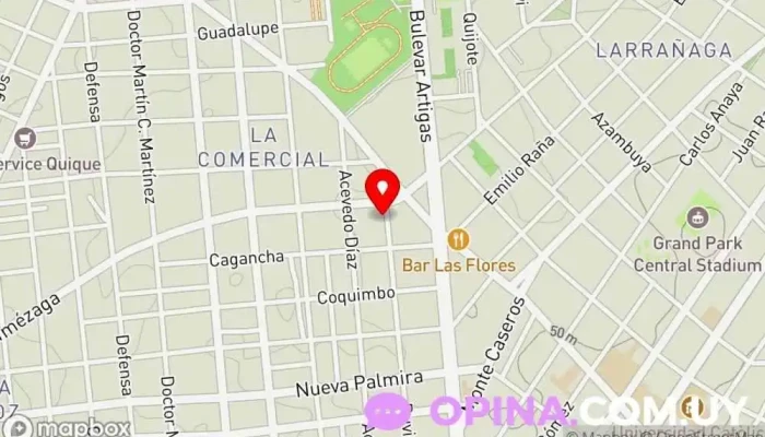 mapa de Clases de apoyo Escolar y Liceal Personalizadas Centro de educación preescolar en Montevideo