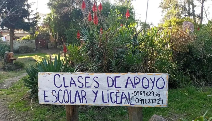 Clases De Apoyo Escolar Y Liceal Personalizadas -  Zona - Montevideo