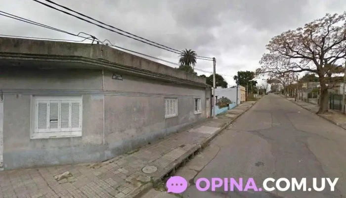 Clases de Biología - Montevideo