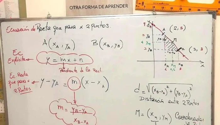 Clases Particulares Multi Clases Matematica Fisica Quimica Ingles Y Mas Descuentos - Maldonado
