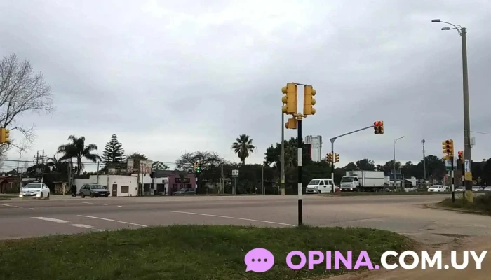 Clinica Balance Adelgazamiento Del Propietario - Ciudad de la Costa