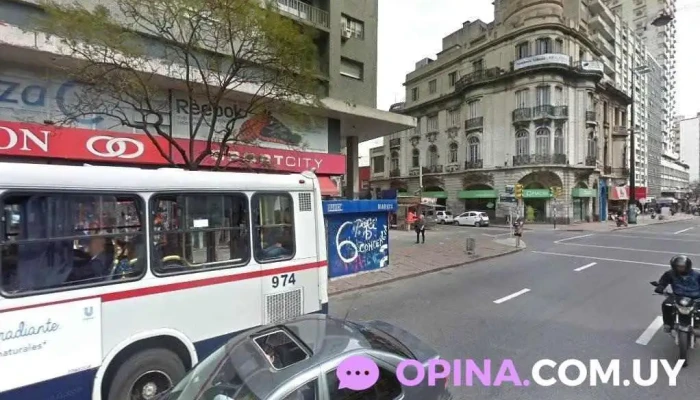 Clinica Capilar Palmarino - Montevideo