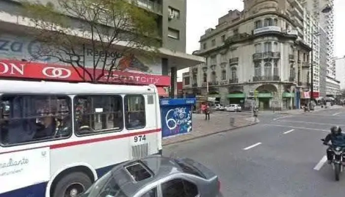 Clinica Capilar Palmarino -  Telefono - Montevideo