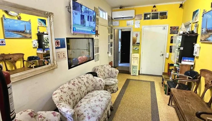 Clinica Ceepal -  Videos - Montevideo