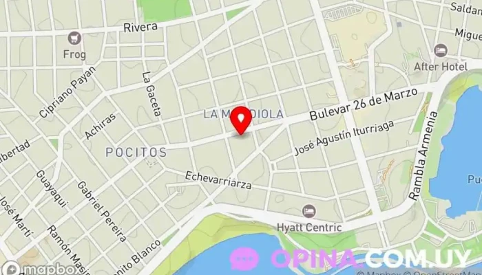 mapa de Clínica Dr. Ricardo Laube Centro médico en Montevideo