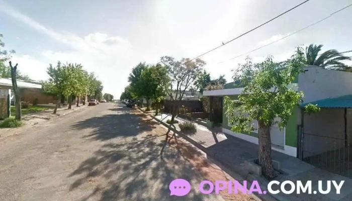 Clínica Estética Dahiana Malzoni - Young