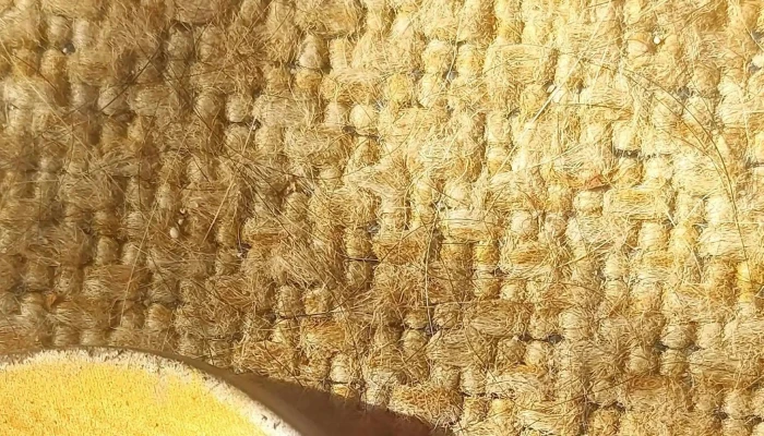 Clinica Integral Del Pie Comentarios - Atlántida