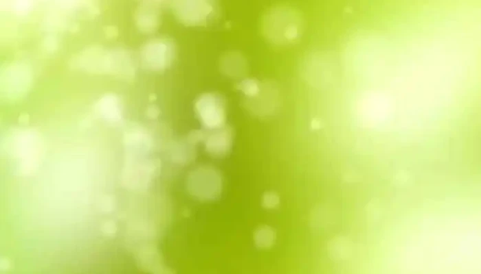 Clinica Integral Del Pie Del Propietario - Atlántida