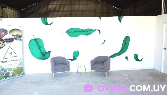 Clinica Vegetal -  Videos - Paysandú