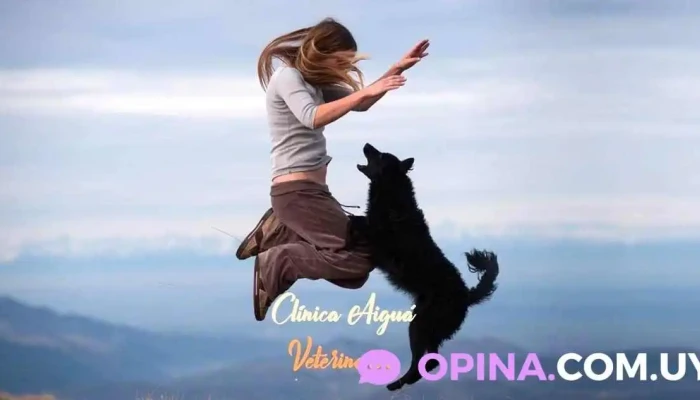 Clínica Veterinaria Aiguá - Belen