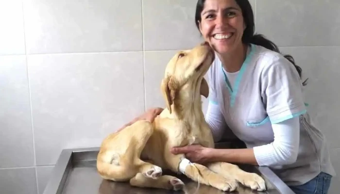 Clinica Veterinaria de La Barra - Los Destinos Y