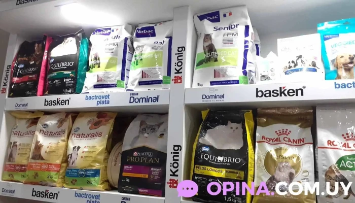 Clinica Veterinaria Doctora Laura Miglierina Del Propietario - Minas