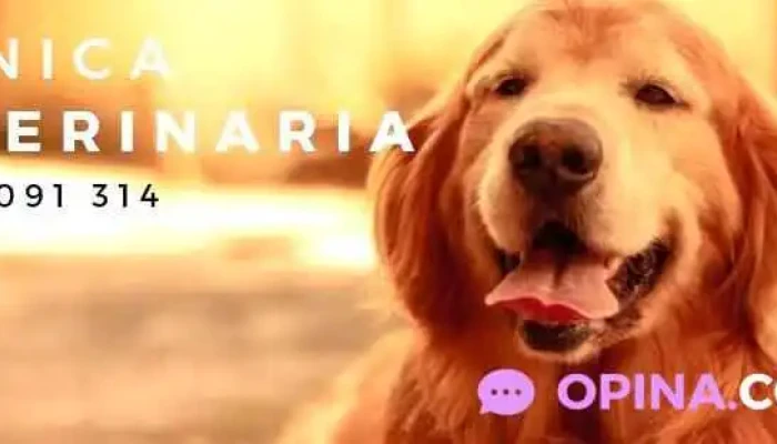 Clinica Veterinaria Dr Bruno Espinosa Instagram - Chuy