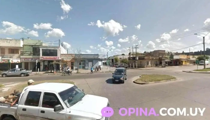 Clínica Veterinaria Dra. Cecilia Ojeda - 40000 Rivera