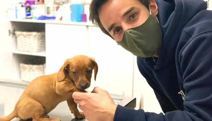 Clínica Veterinaria General Paz - 11400 Montevideo