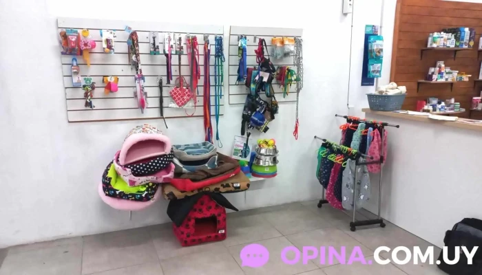 Clinica Veterinaria Huellas -  Instagram - Durazno