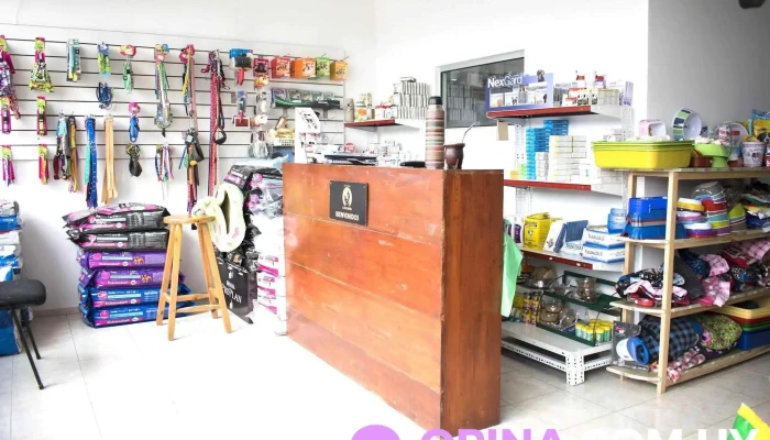 Clinica Veterinaria La Lugarena Del Propietario - Progreso