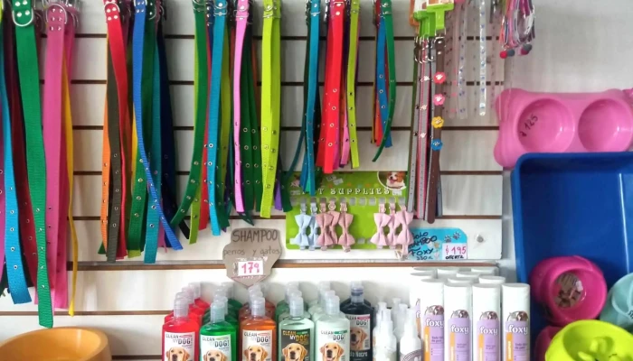 Clinica Veterinaria Medivet Puntaje - Empalme Nicolich