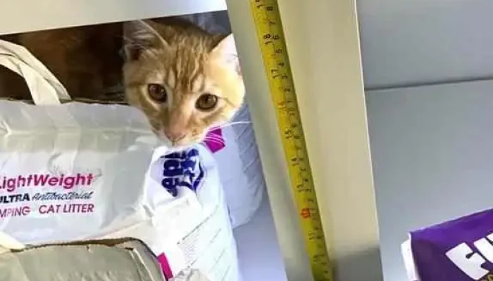 Clinica Veterinaria Millan 2 Del Propietario - Montevideo