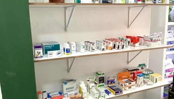 Clinica Veterinaria Millan 2 Promocion - Montevideo