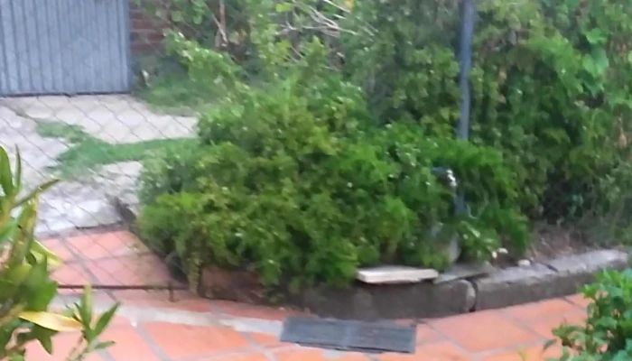 Clinica Veterinaria Paysandu Donde - Paysandú