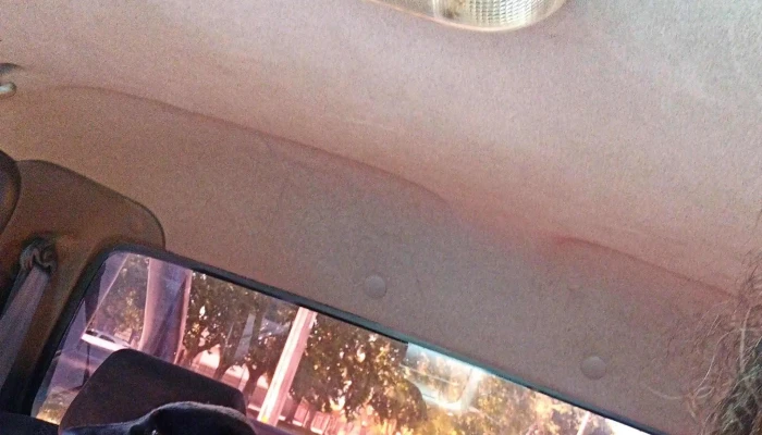 Clinica Veterinaria Paysandu Horario - Paysandú