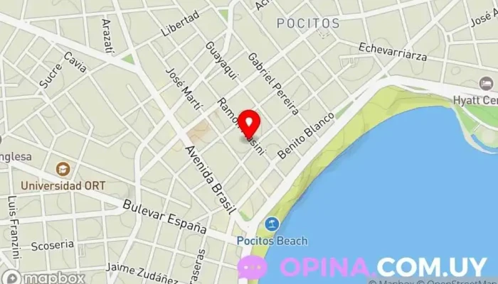 mapa de Clínica Veterinaria Pocitos Veterinario en Montevideo