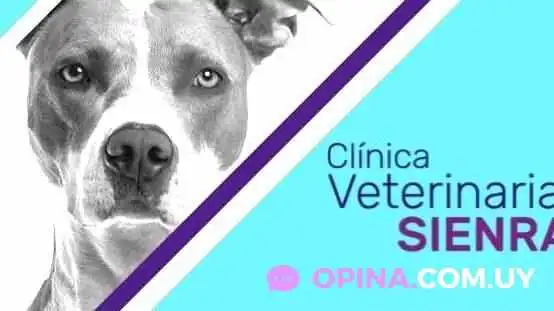 Clínica Veterinaria Sienra - 20000 Maldonado