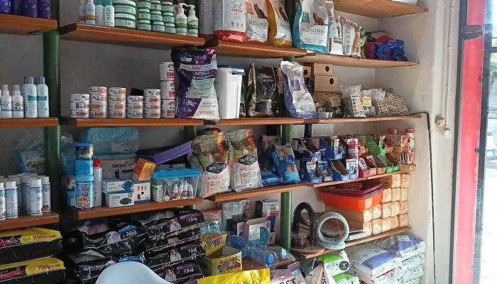 Clinica Veterinaria Toco Mas Recientes - Melo