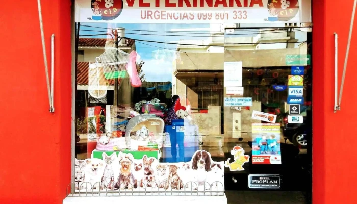 Clinica Veterinaria Toco Puntaje - Melo