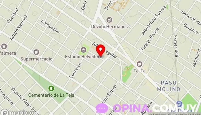 mapa de Clinicamente Centro escolar en Montevideo