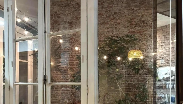 Clorofila -  Comentario 3 - Montevideo