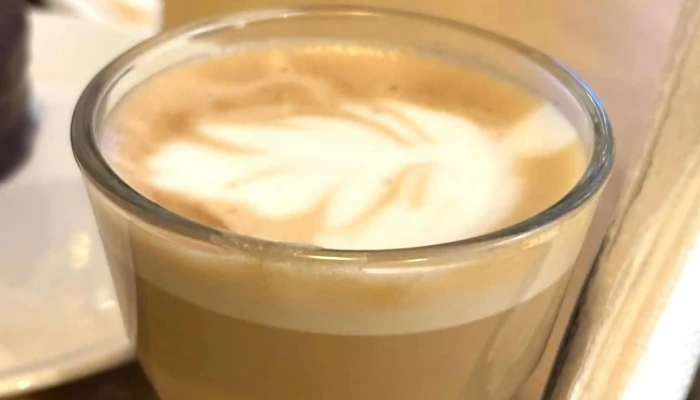 Clorofila -  Comentario 4 - Montevideo