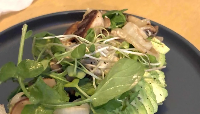 Clorofila -  Comentario 5 - Montevideo