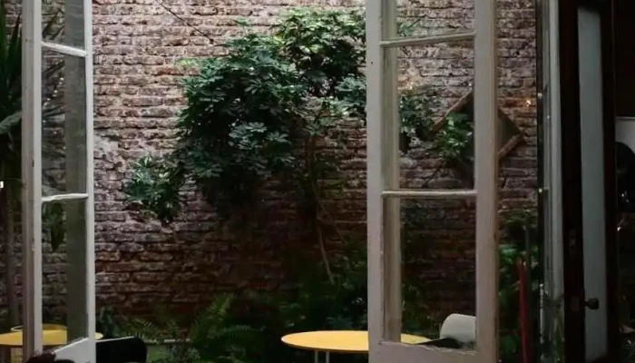 Clorofila -  Todo - Montevideo