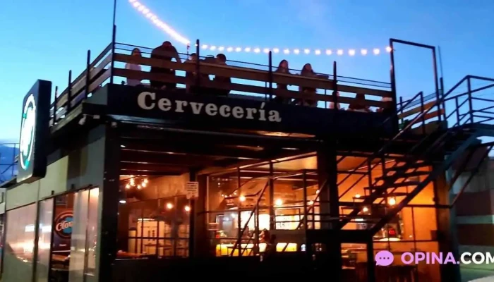 Clover -  Todas - Pando