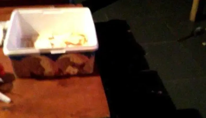 Club Belgrano -  Comidas Y Bebidas - Montevideo