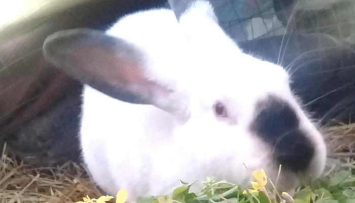 Club La Paz -  Comentario 1 - Departamento de San José