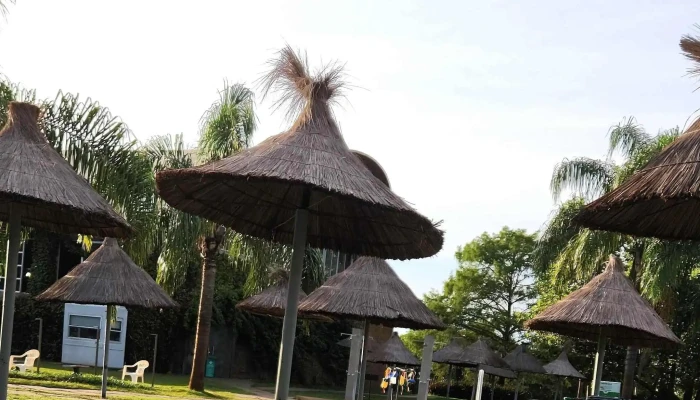 Club Remeros Salto -  Sede Central Comentario 1 - Salto