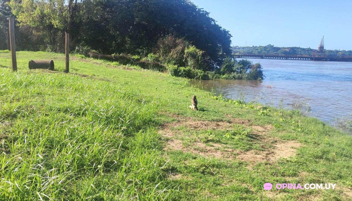 Club Remeros Salto -  Sede Central Videos - Salto