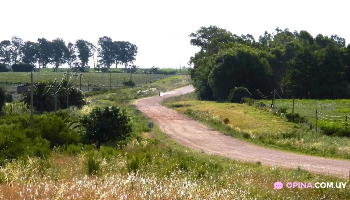 Club Rural La Cadena -  Todo - San Antonio